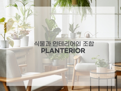 플랜테리어